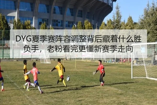 DYG夏季赛阵容调整背后藏着什么胜负手，老粉看完更懂新赛季走向